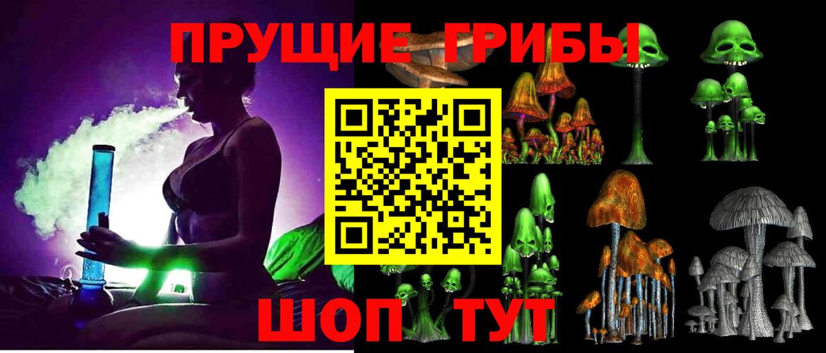 Псилоцибиновые грибы Cubensis Рузаевка