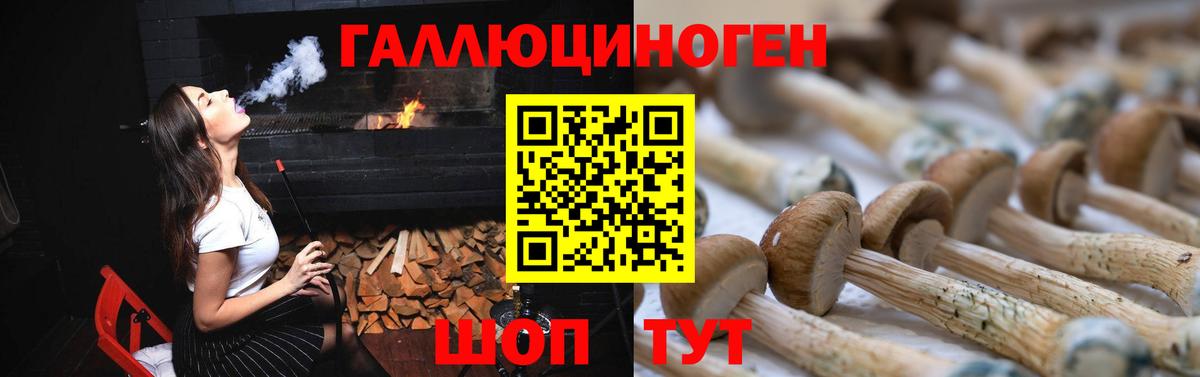Галлюциногенные грибы мицелий  Галлюциногенные грибы Psilocybine cubensis  Вход с VPN  Рузаевка 